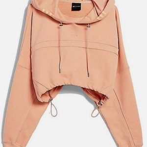 Ivy Park IVP ambient blush shrub/hoodie size small